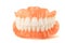 dentures. Isolate on white background acrylic prosthesis of human jaws. The concept of orthopedic dentistry