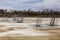 Denuded trees growing out of colourful half-frozen LÃ©on-Provencher marsh in early spring