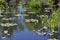 Denver Botanical Gardens: zen watergarden montage