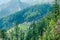 Deodar tree Landscape of mountain village near jalori pass - India