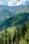 Deodar tree Landscape of mountain village near jalori pass - India