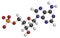 Deoxyadenosine monophosphate (dAMP) nucleotide molecule. DNA building block. Atoms are represented as spheres with conventional