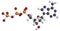 Deoxyadenosine triphosphate (dATP) nucleotide molecule. DNA building block. Atoms are represented as spheres with conventional