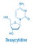 Deoxycytidine or dC nucleoside molecule. DNA building block. Skeletal formula.