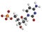 Deoxycytidine monophosphate (dCMP) nucleotide molecule. DNA building block. Atoms are represented as spheres with conventional