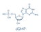 Deoxyguanosine monophosphate dGMP nucleotide molecule. DNA building block. Skeletal formula.