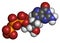 Deoxyguanosine triphosphate (dGTP) nucleotide molecule. DNA building block. Atoms are represented as spheres with conventional