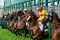 Departure of a horse race on the racetrack of Chantilly France