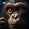 Depressed chimps eyes reveal its emotional sorrow and inner sense of desolation
