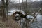 Depressed view of drowned tree in lake