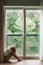 Depressed woman sitting on a floor near the window embracing her knees