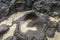 Depressions in a rock with white sand at the bottom, flooded with sea water. Small ponds excavated in lava bed on Indian Ocean