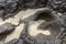 Depressions in a rock with white sand at the bottom, flooded with sea water. Small ponds excavated in lava bed on Indian Ocean