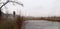 Depressive, ghostlike and foggy winters day in Czech nature. Panorama of a meadow with frosted pond in the foreground