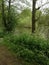 Derbyshire countryside pond view