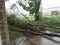 Derecho damage in Iowa in land hurricane