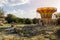 Derelict Amusement Park