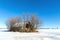 Derelict barn in rural Canada, surrounded by bare trees. A wind