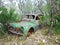 Derelict car in forest IV