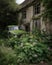 A derelict car the paint long gone now a home to a colony of wild geraniums. Abandoned landscape. AI generation