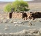 Derelict dry stone walled corral or kraal in the Tankwa Karoo