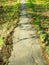 Derelict footpath going to the afar