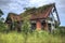 Derelict house in overgrown garden