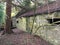 Derelict house remains in the forest