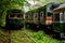 Derelict Railroad Tracks + Abandoned Retro Trolleys - Pennsylvania