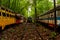 Derelict Railroad Tracks + Abandoned Retro Trolleys - Pennsylvania