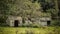 Derelict timber outbuildings and woodland in the English countryside