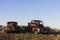 Derelict trucks on junk pile