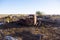 Derelict trucks on rubbish dump