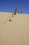 Derelict wire fence in desert