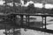 Derelict wooden bridge along the Carretera Austral
