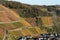 Dernau, Germany - 11 06 2020: steep autumn vineyards east of Dernau