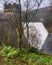 Derwent Dam an trees