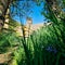 Derwent Reservoir: A Serene Oasis of Tranquility