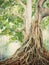 Descending Banyan Tree Roots and Detailed Leaves in Bold Watercolor AI Generated