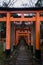 The Descending Path from Fushimi Inari Taisha Temple