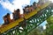 Descending rapidly in Cheetah Curse Rollercoaster at Bush Gardens Tampa Bay Theme Park.