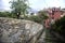 Descending staircase bordered by stone wall