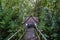 Descent to the arbor in the jungle