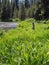 Deschutes River near its headwaters