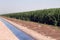 Desert Agriculture Farming Irrigation Canal