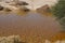 Desert Arava with puddles after rain