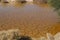 Desert Arava with puddles after rain