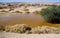 Desert Arava with puddles after rain