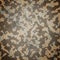 Desert army camouflage background