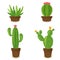 Desert banner set, green cactus world. Flat cartoon style. Design elements.